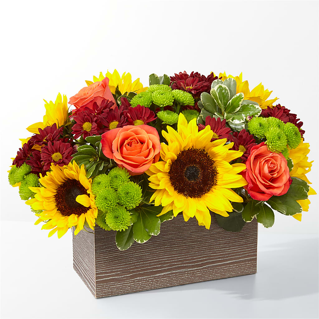 Happy Harvest Garden – IVAN'S FLOWER, Folsom CA