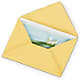Greeting Card – IVAN'S FLOWER, Folsom CA