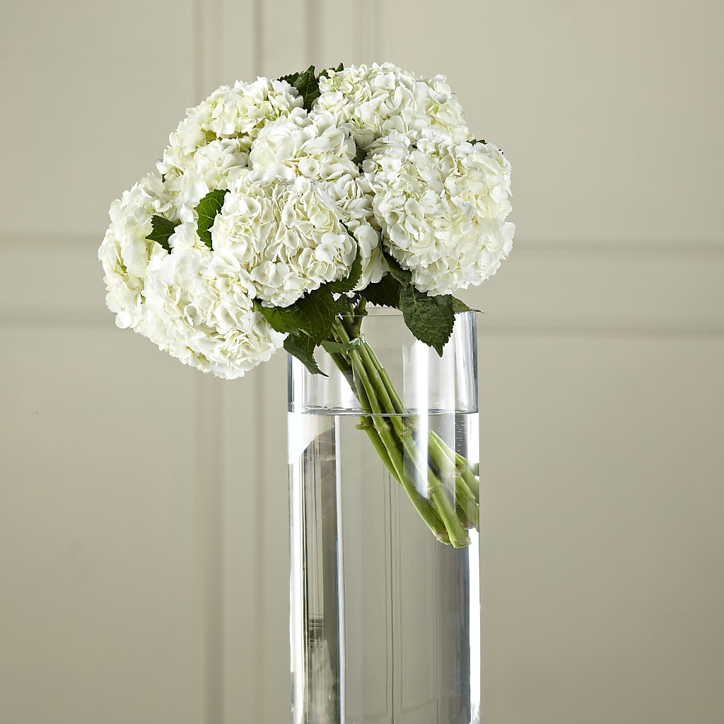 White Hydrangea Hand-Tied Bouquet – IVAN'S FLOWER, Folsom CA
