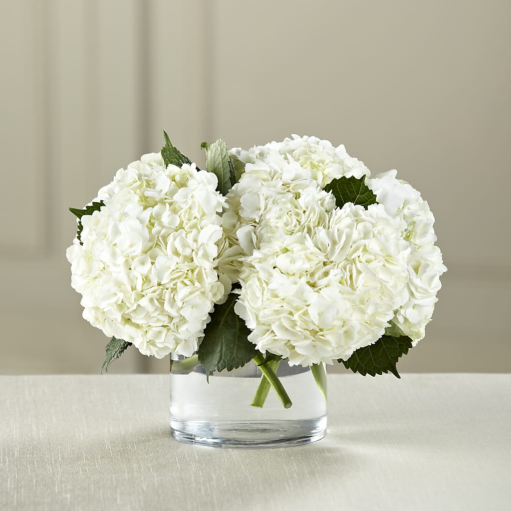 White Hydrangea Bouquet – IVAN'S FLOWER, Folsom CA