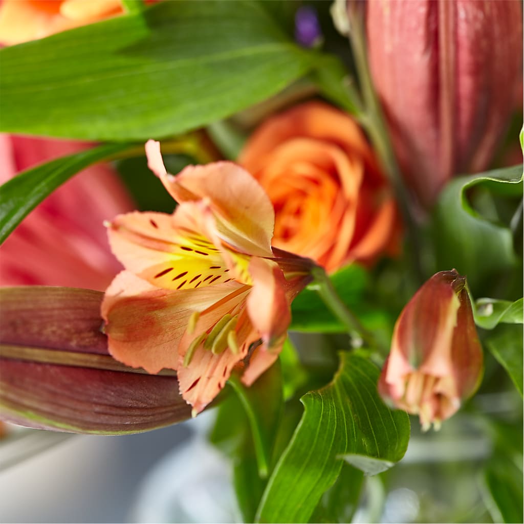 Bold & Bright – A Florist Original – IVAN'S FLOWER, Folsom CA