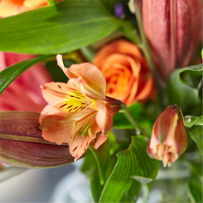 Bold & Bright – A Florist Original – IVAN'S FLOWER, Folsom CA