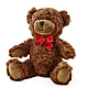 Adorable Plush Bear – IVAN'S FLOWER, Folsom CA