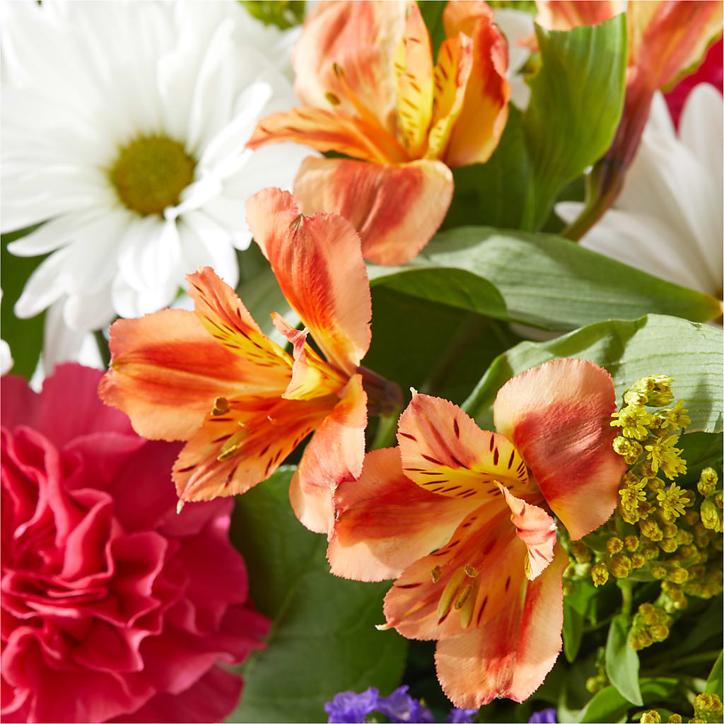 Oopsie Daisy Box Bouquet – IVAN'S FLOWER, Folsom CA