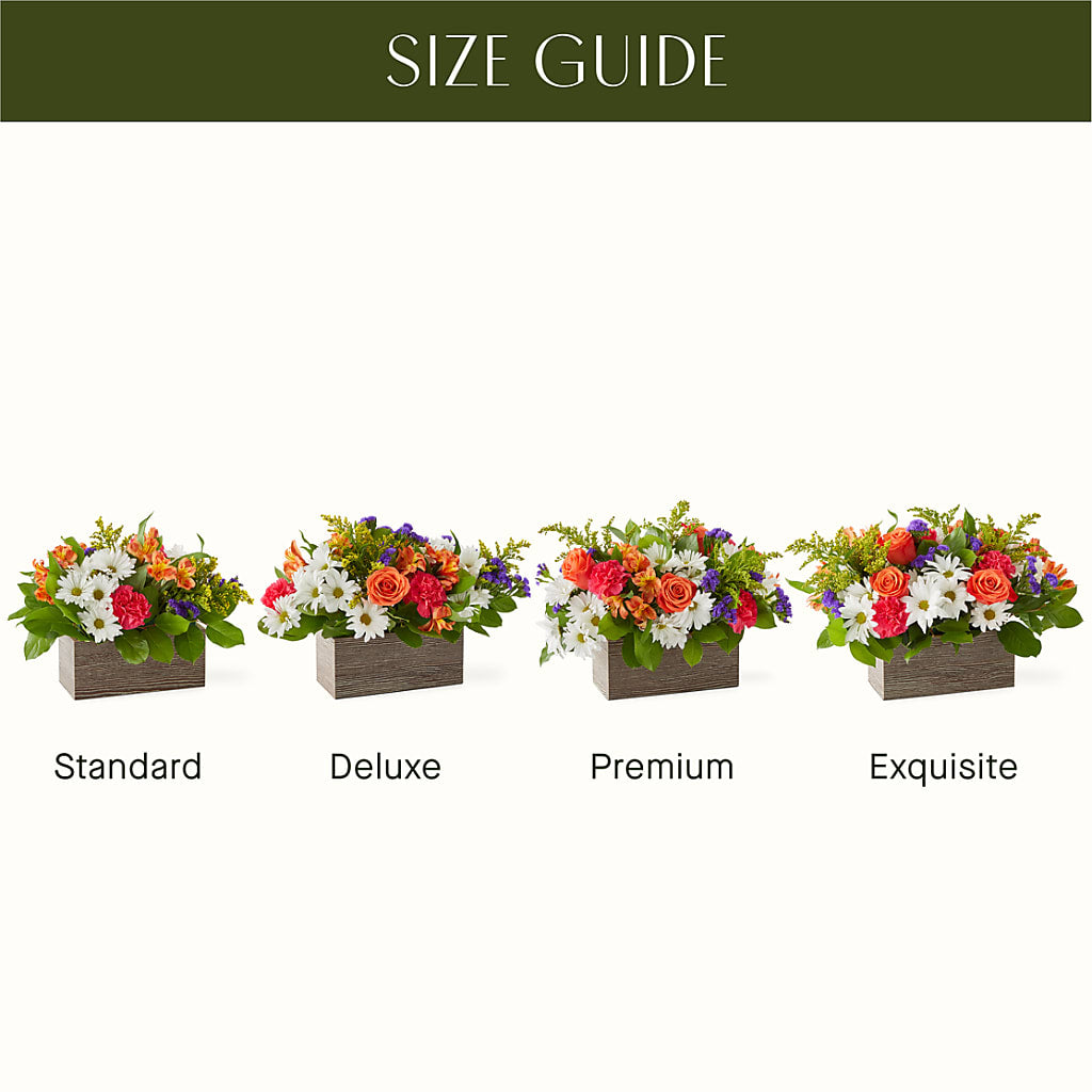 Oopsie Daisy Box Bouquet – IVAN'S FLOWER, Folsom CA
