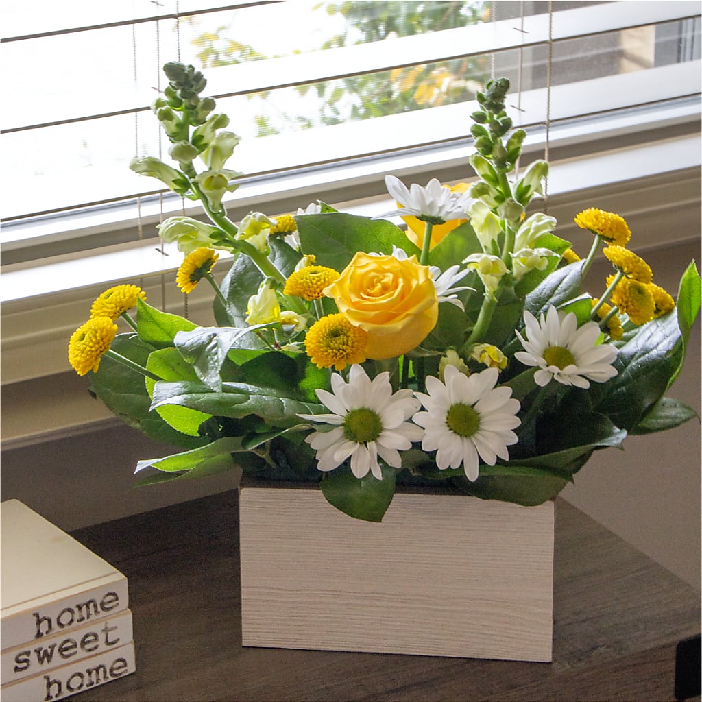 Sun Salutation Box Bouquet – IVAN'S FLOWER, Folsom CA