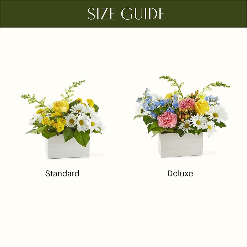 Sun Salutation Box Bouquet – IVAN'S FLOWER, Folsom CA
