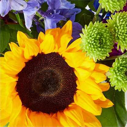 Catching Rays Bouquet – IVAN'S FLOWER, Folsom CA