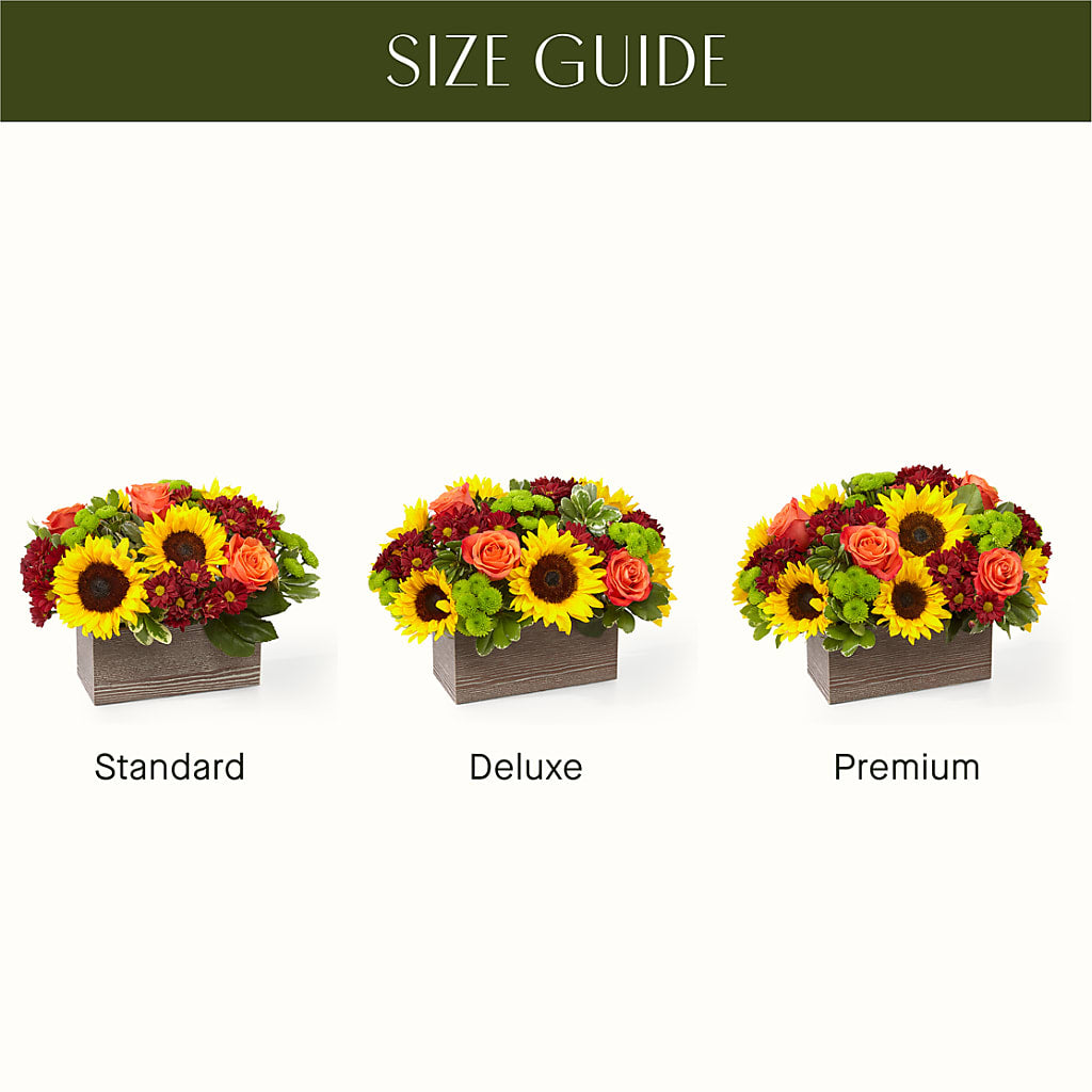 Happy Harvest Garden – IVAN'S FLOWER, Folsom CA