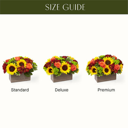 Happy Harvest Garden – IVAN'S FLOWER, Folsom CA