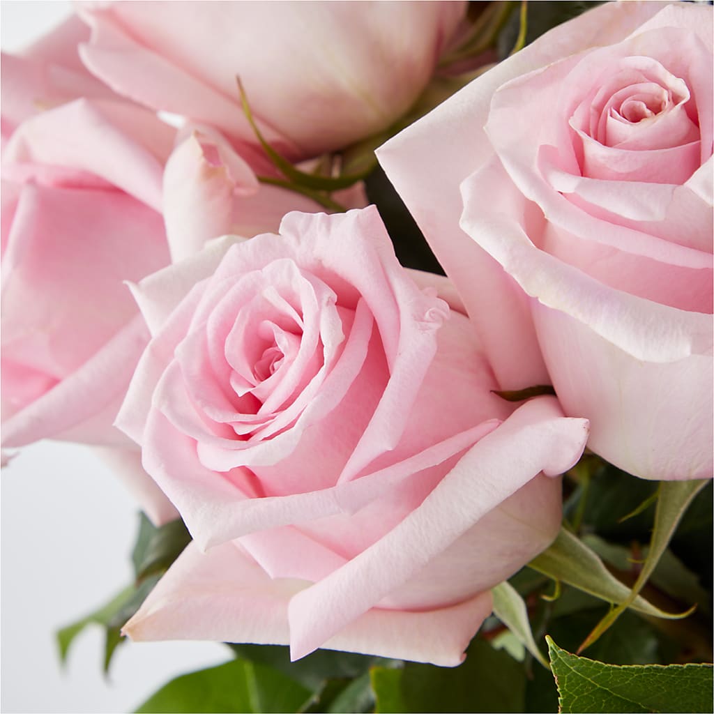 Picture Perfect Pink Rose Bouquet – IVAN'S FLOWER, Folsom CA