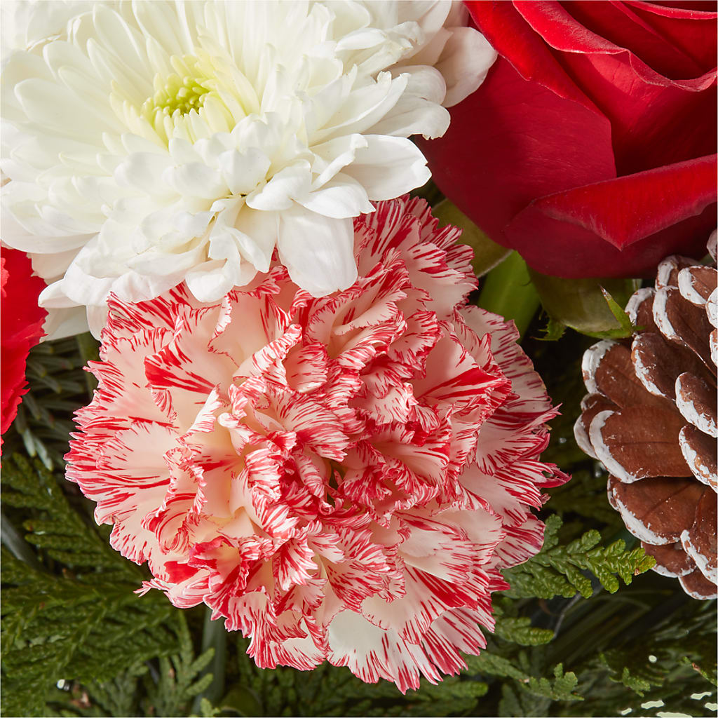Candy Cane Lane Bouquet – IVAN'S FLOWER, Folsom CA
