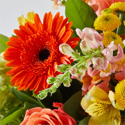 Autumn Sunshine Bouquet – IVAN'S FLOWER, Folsom CA
