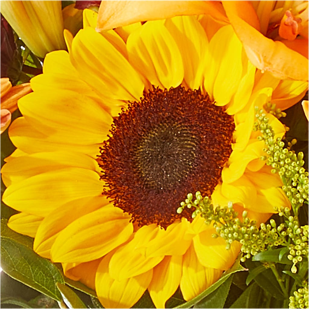 Seasons Change Bouquet – IVAN'S FLOWER, Folsom CA