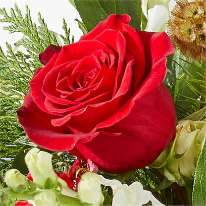 Deck the Halls Bouquet – IVAN'S FLOWER, Folsom CA