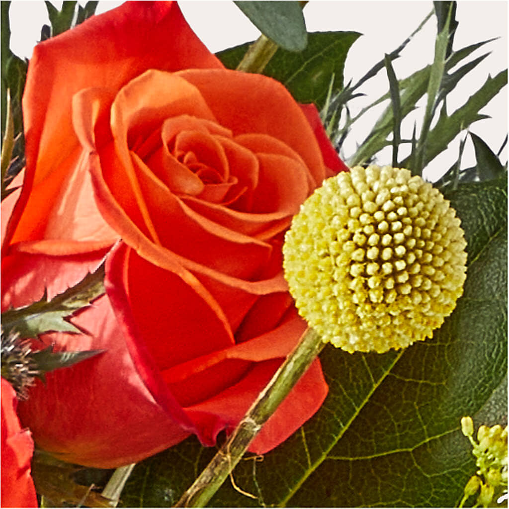 Disco Bouquet – IVAN'S FLOWER, Folsom CA