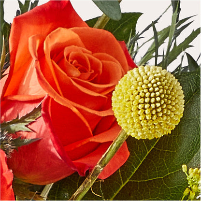 Disco Bouquet – IVAN'S FLOWER, Folsom CA
