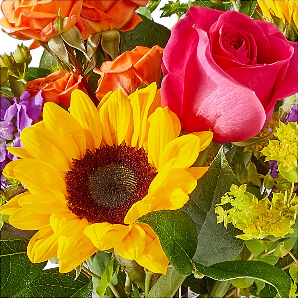 Vibrant Greetings Bouquet – IVAN'S FLOWER, Folsom CA