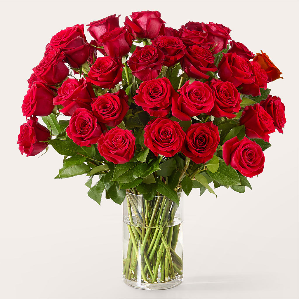 The One Red Rose Bouquet – IVAN'S FLOWER, Folsom CA
