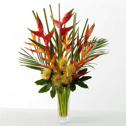 The Drama – IVAN'S FLOWER, Folsom CA