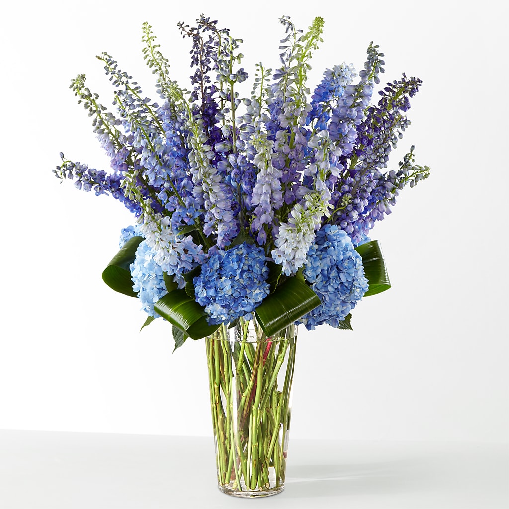 The Editorial – IVAN'S FLOWER, Folsom CA
