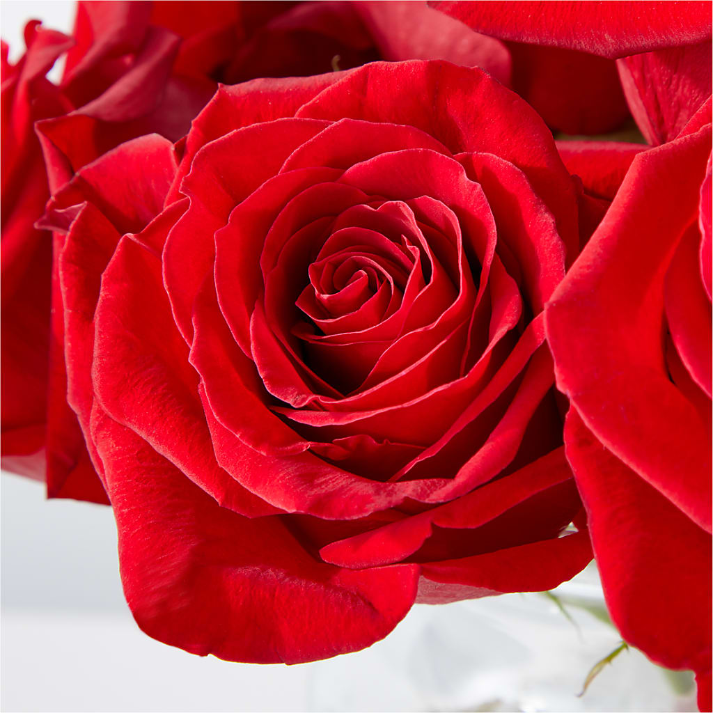 Cupid's Embrace Red Rose Bouquet – IVAN'S FLOWER, Folsom CA