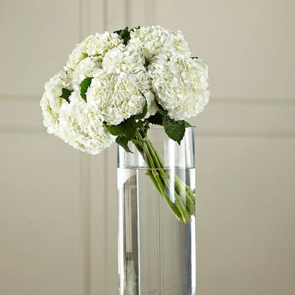 White Hydrangea Hand-Tied Bouquet – IVAN'S FLOWER, Folsom CA