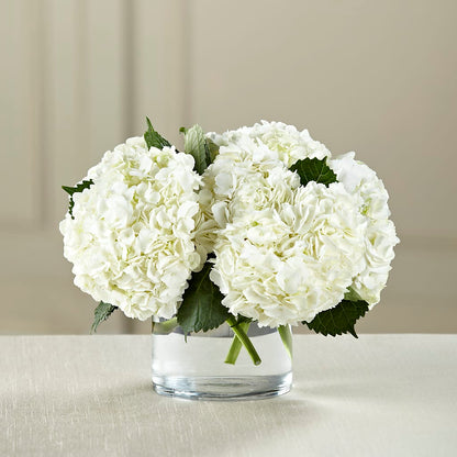 White Hydrangea Bouquet – IVAN'S FLOWER, Folsom CA